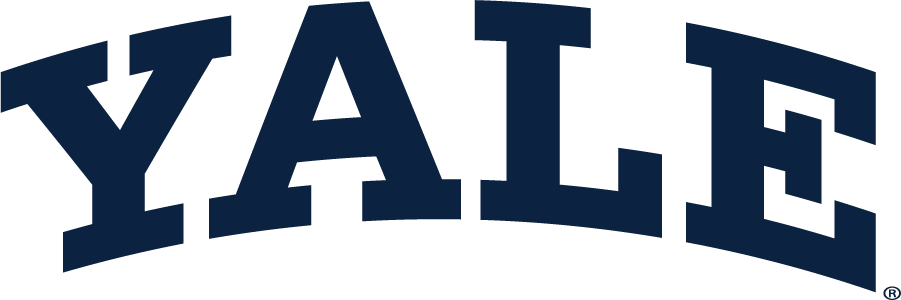 Yale Bulldogs 1935-Pres Wordmark Logo v2 diy iron on heat transfer